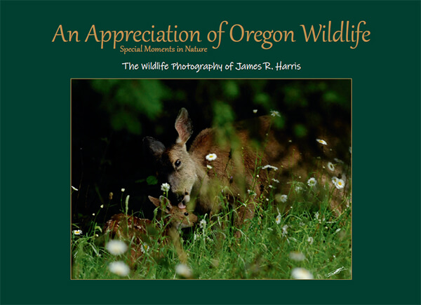 An Appreciation of Oregon Wildlife An Appreciation of Oregon Wildlife